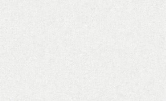 Обои белые однотонные Erismann виниловые Marseille арт. 60247-02 Белые однотонные