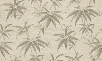 4082-7 Обои МОФ Тростник 1,06*10м/6