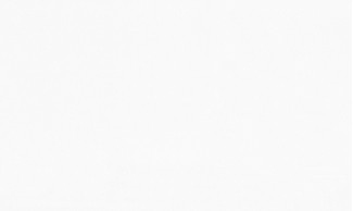 Обои белые однотонные Артекс винил Вишня арт. 10317-01 Обои белые одното