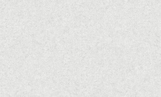 Обои серые однотонные Erismann виниловые Marseille арт. 60247-03 Серые однотонные