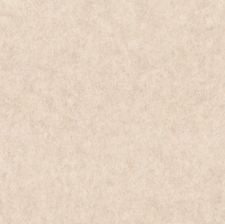 Обои виниловые бежевые однотонные Евро Декор Norder арт. 8028-02 Бежевые однотонны