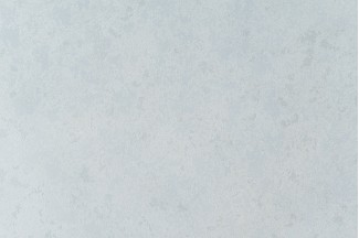 10363-05 Обои декор г.т. Freedom сет 13 "Шарлотта", фон 10м*1.06м/6