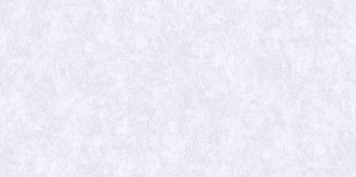 60100-03 Benefit2 фон Обои виниловые на флизелиновой основе г.т. фон 10,05х1,06м/6