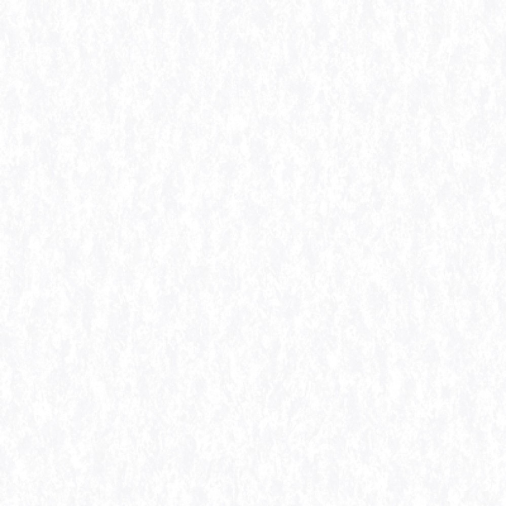 Обои белые однотонные Sicilia виниловые арт. NA8600-12