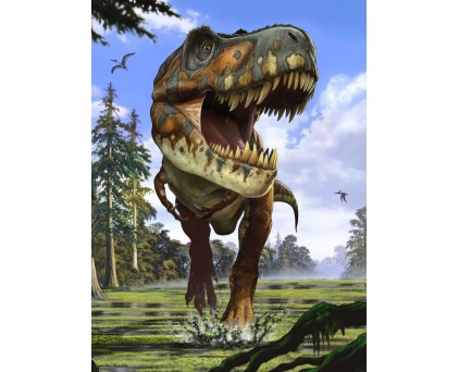 Фотообои Тиранозавр арт. XXL2-532 Фотообои Тираноза