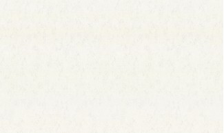 Однотонные обои виниловые OVK Design Венециано арт. 10449-02 Бежевые однотонны