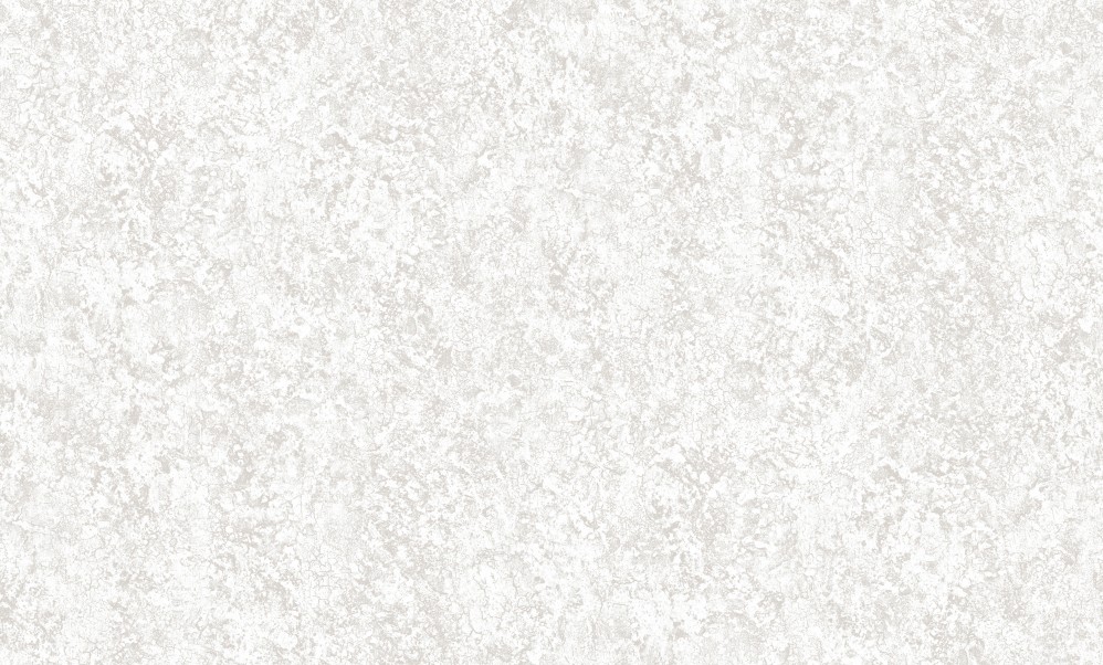 Обои белые однотонные Антураж винил Dolores арт. 168308-01