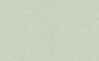 Обои зеленые Антураж виниловые Castello арт. 168407-02 Зеленые однотонны