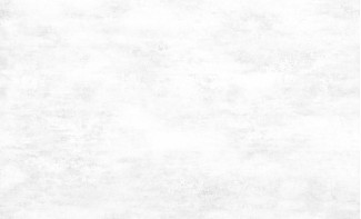 Обои белые однотонные Артекс винил Лунник арт. 10407-01 Обои белые одното